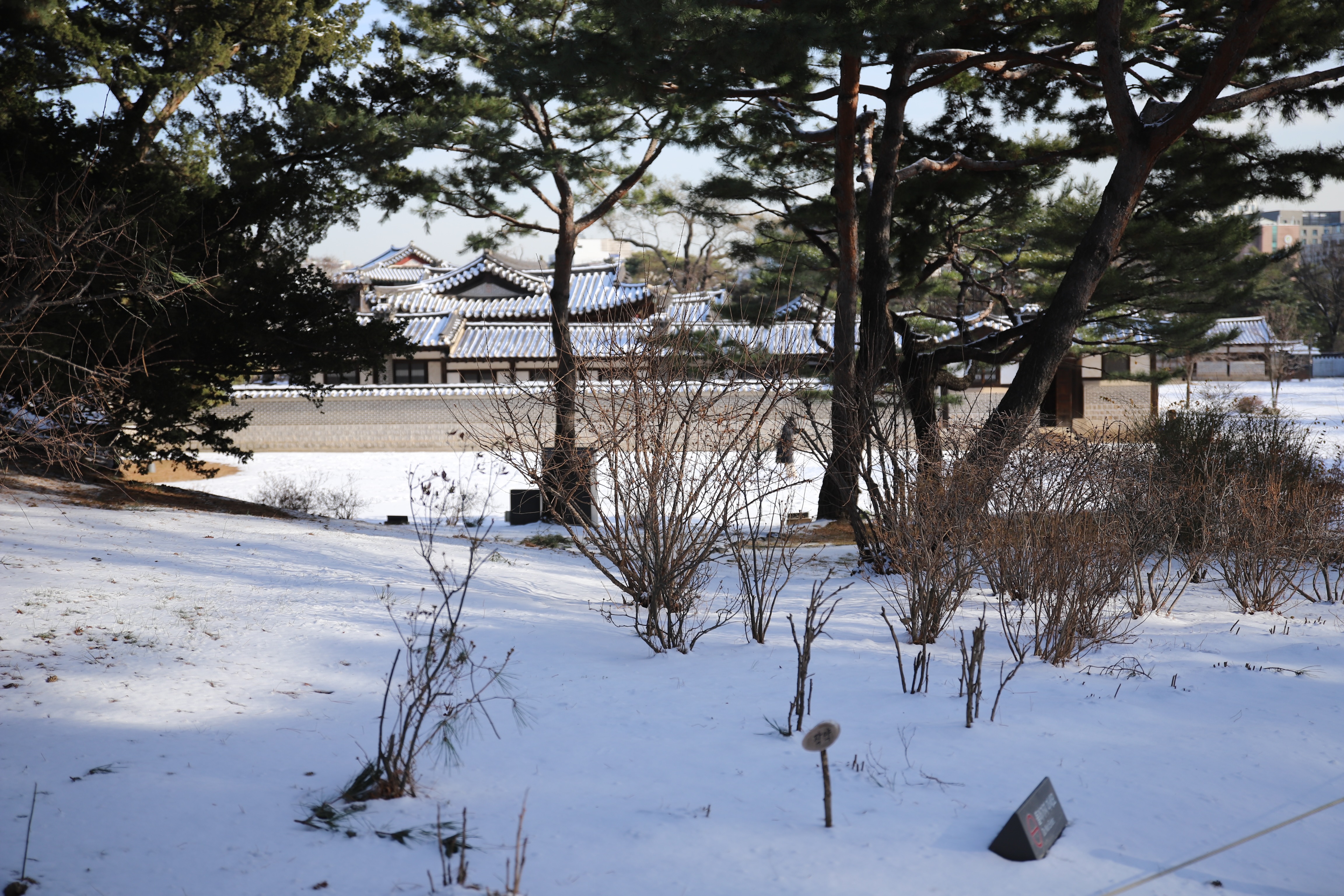 E56DB680-3BBD-4B35-B29E-E6558D8333AA.jpeg