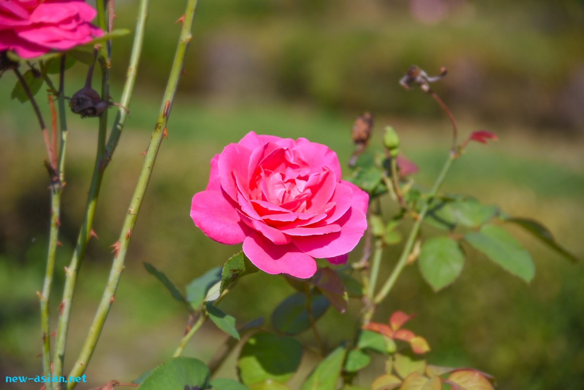 06B6E2C8-DFDC-4B09-B5F5-961012D8301D.jpeg