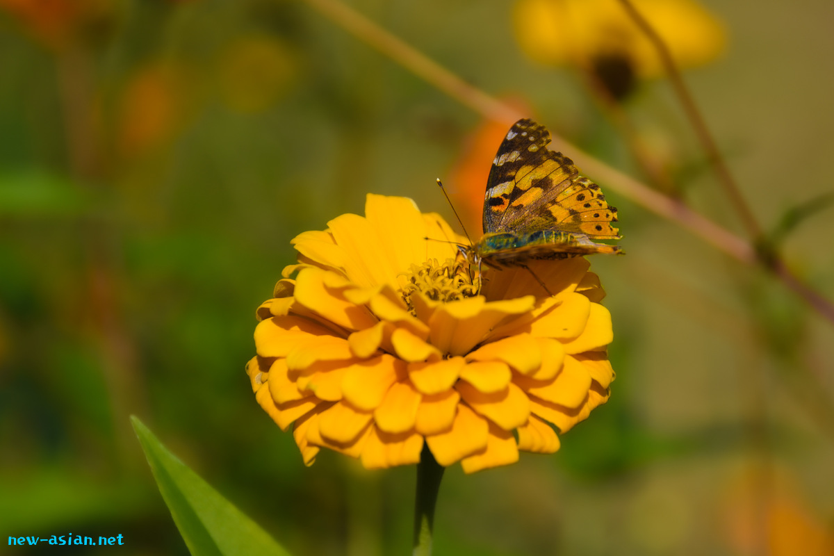 D877ECE2-F69B-4E27-BB85-56482ABF5551.jpeg