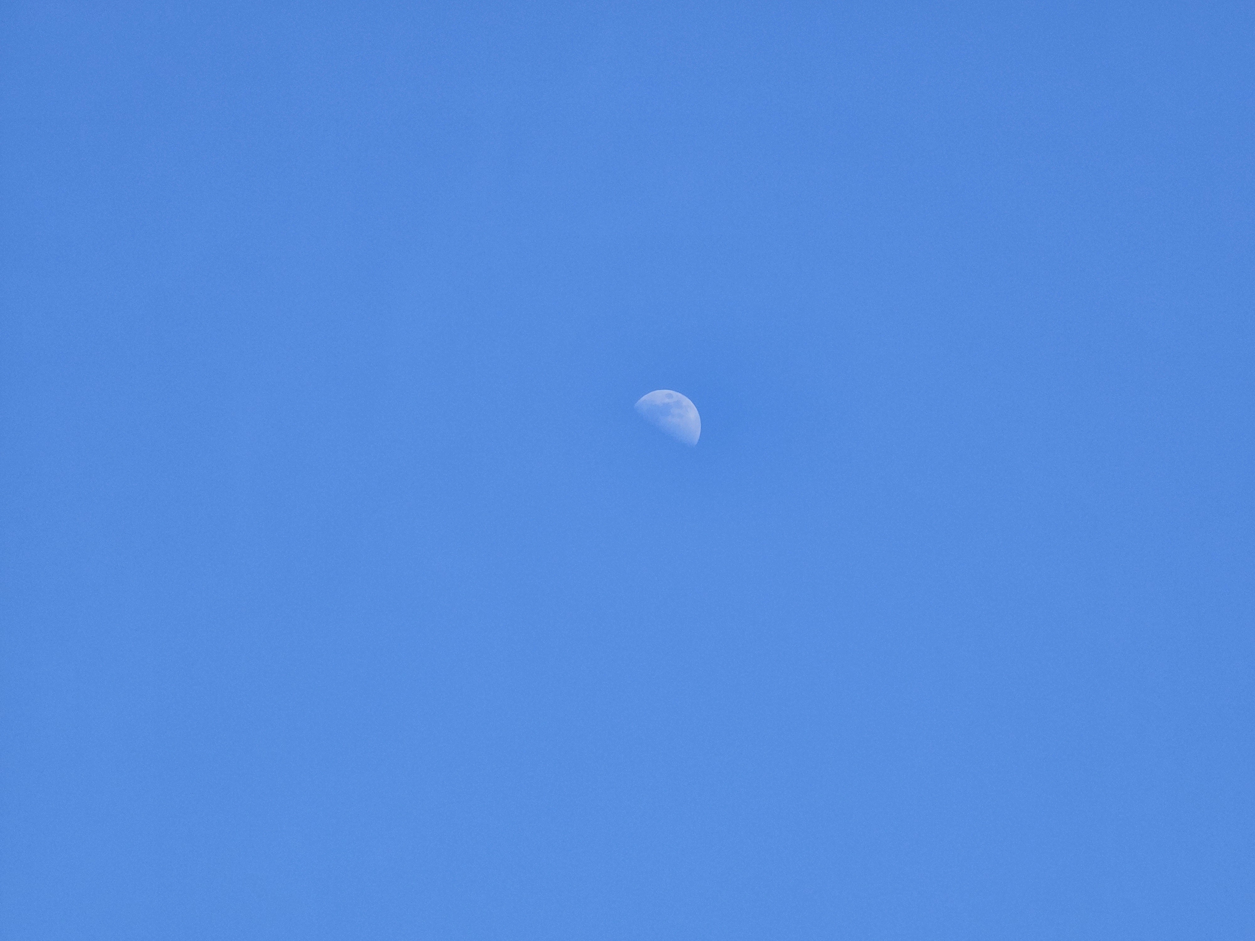 20230228_150625.jpg