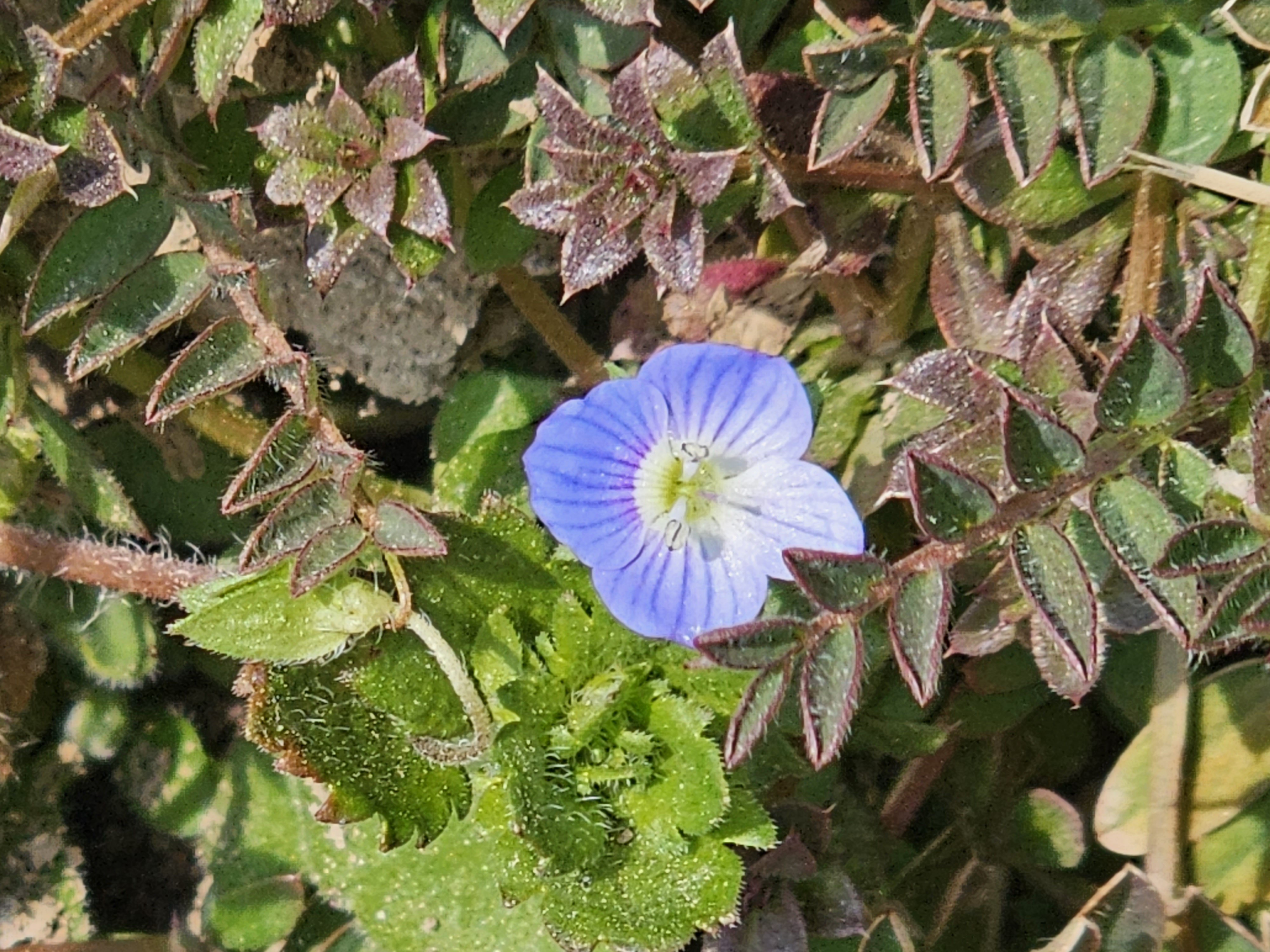 20230228_144158.jpg