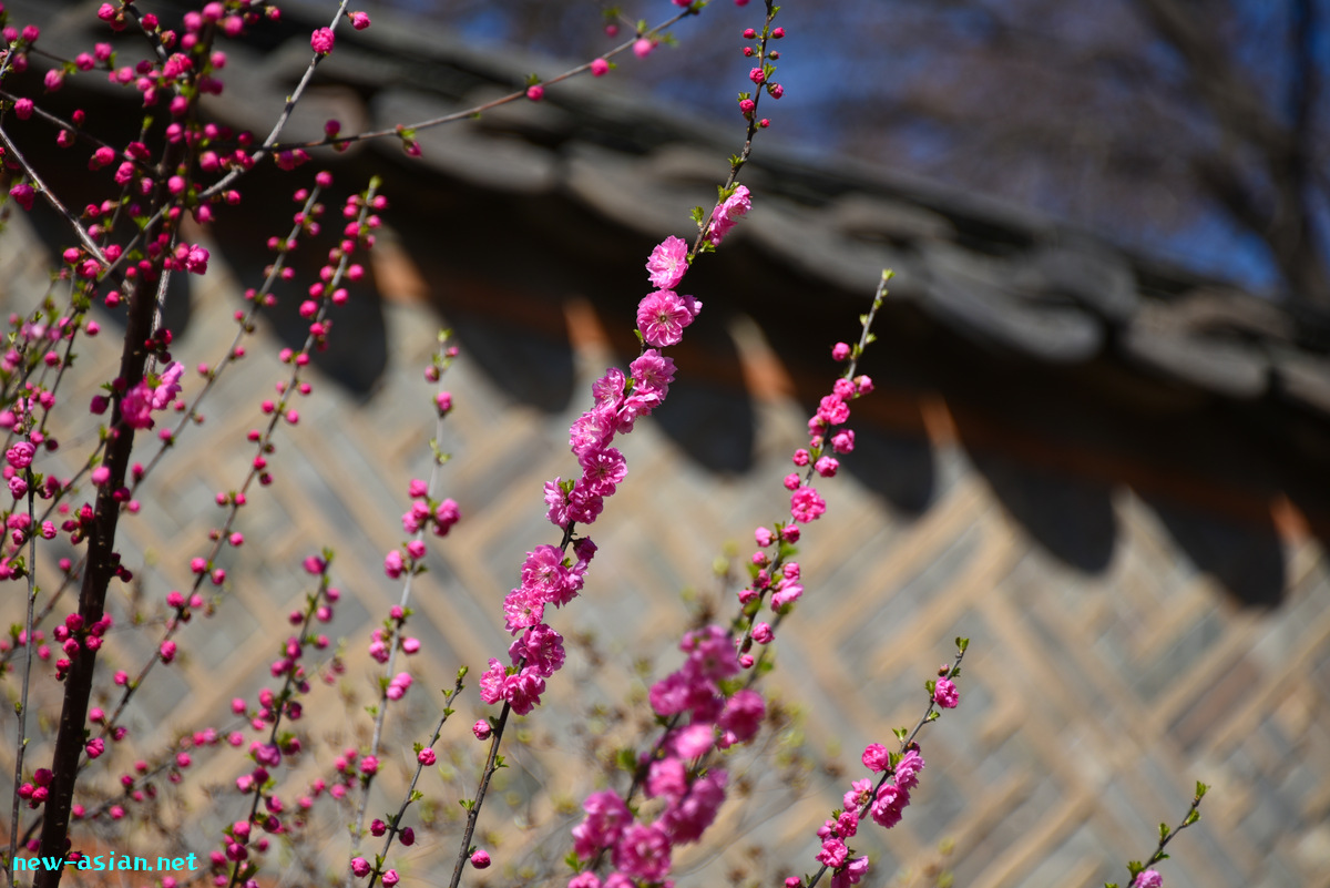 361048BD-B7CB-41E8-AB43-D2E2B285ED82.jpeg